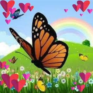 Meet your Posher, Gracie